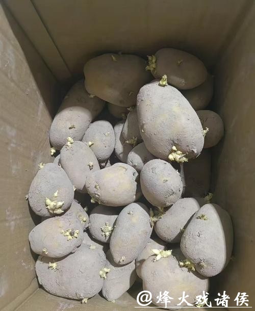 沪上打工人误食网购“毒土豆”，两年饱受折磨！医生提醒